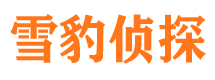 盐田侦探